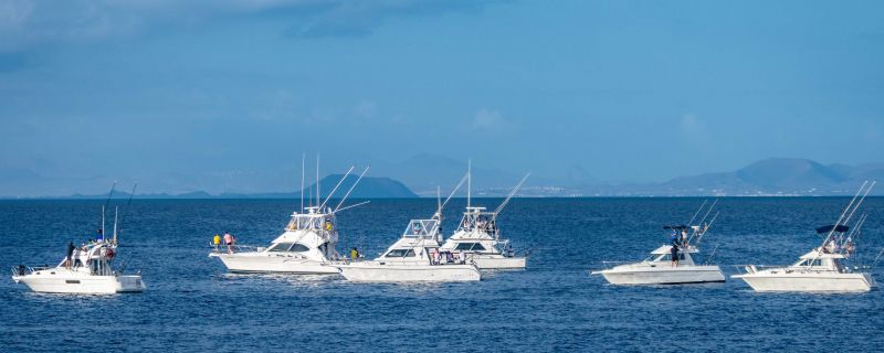 XXIX TORNEO DE PESCA PUERTO CALERO