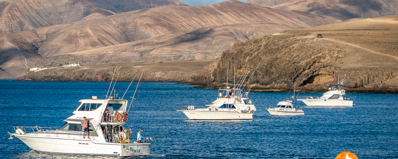 PUERTO CALERO MARLIN CUP 30ª ANIVERSARIO.