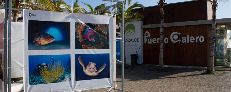 EXPOSICIÓN OPEN FOTOSUB MAR DE LAVA EN PUERTO CALERO