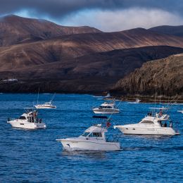 PUERTO CALERO CELEBRA LA XXXII MARLIN CUP, ÚNICO TORNEO EN ESPAÑA CON PASE AL MUNDIAL