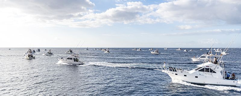 HAKALOO II A LA CABEZA EN LA PRIMERA JORNADA DEL TORNEO DE PESCA Y GASTRONOMÍA PUERTO CALERO SABOREA LANZAROTE