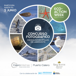 Concurso fotográfico con la colaboración de RedPromar