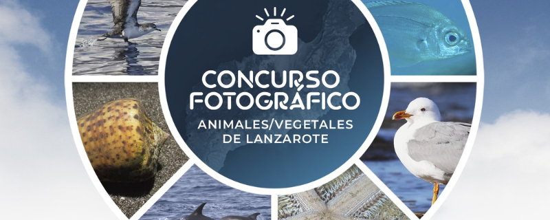 Concurso fotográfico con la colaboración de RedPromar